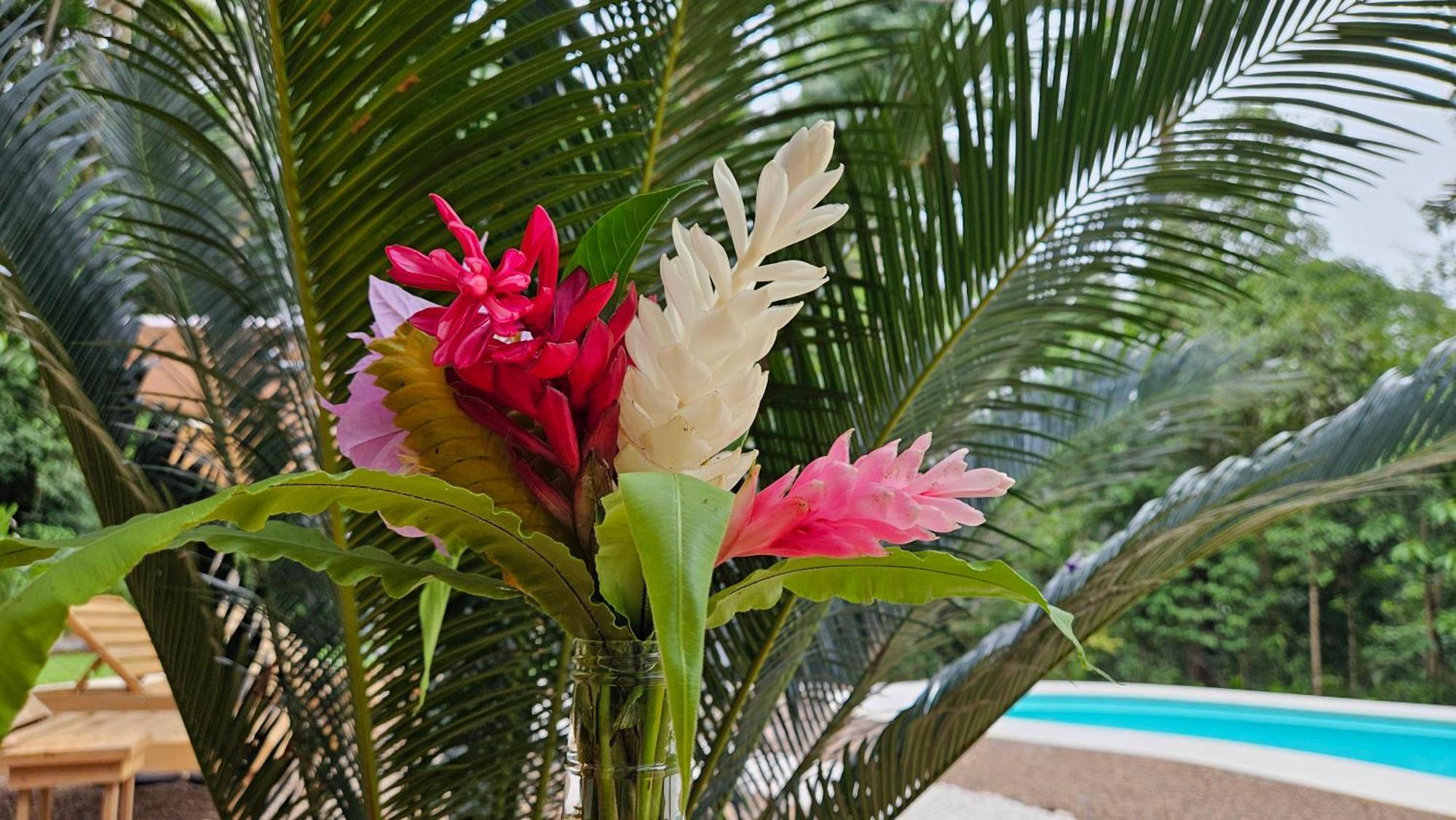Fauna Lodge Drake Bay Ngoại thất bức ảnh